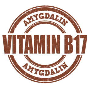 B17 vitamina